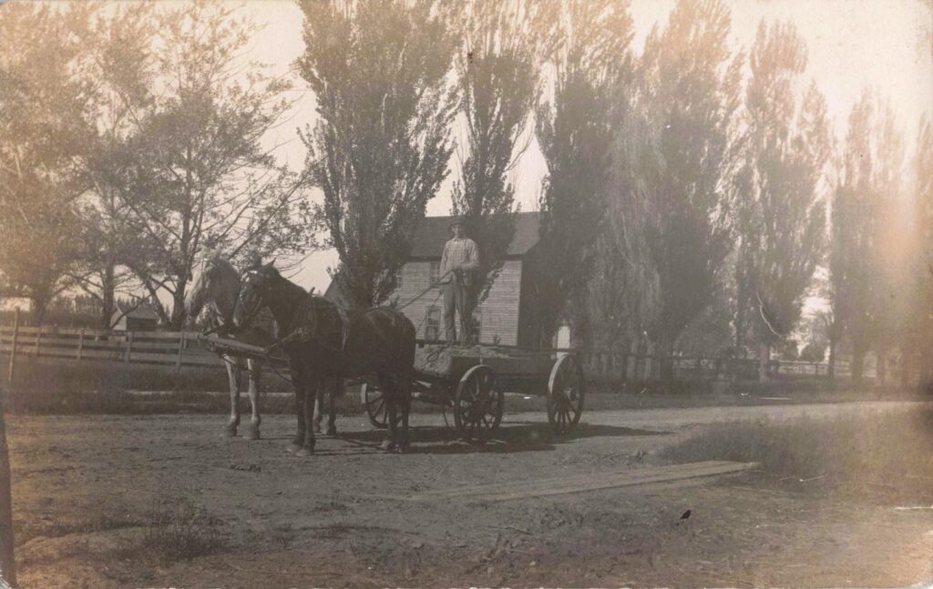 Horse-drawn cart on dirt road.
