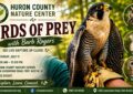 Birds of Prey