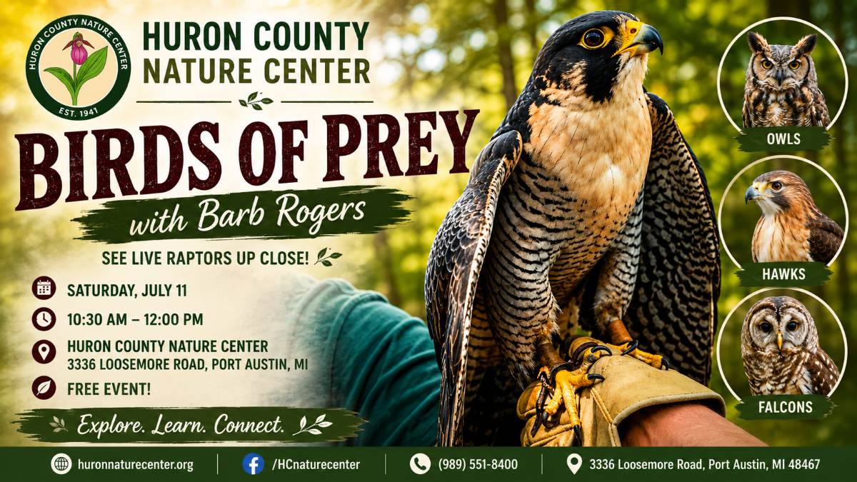 Birds of Prey