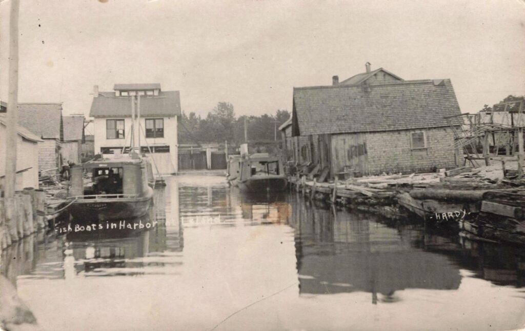 Fish Boats in Harbor at Leland 1916