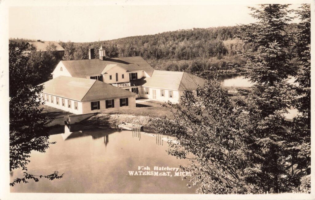 Watersmeet Fish Hatchery in 1936 with hatchery buildings and water.