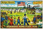 Ironwood Homesteads