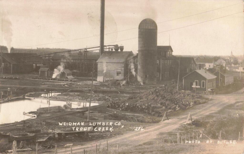 Weidman Lumber Company mill and log pond at Trout Creek Michigan.
