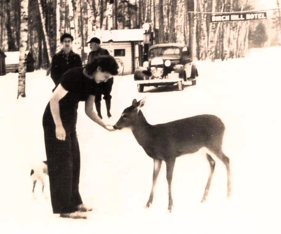 Woman feeding deer in snowy landscape.