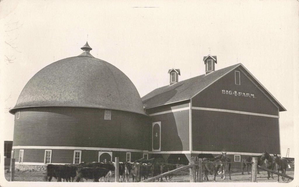 Historic farm buildings with cows