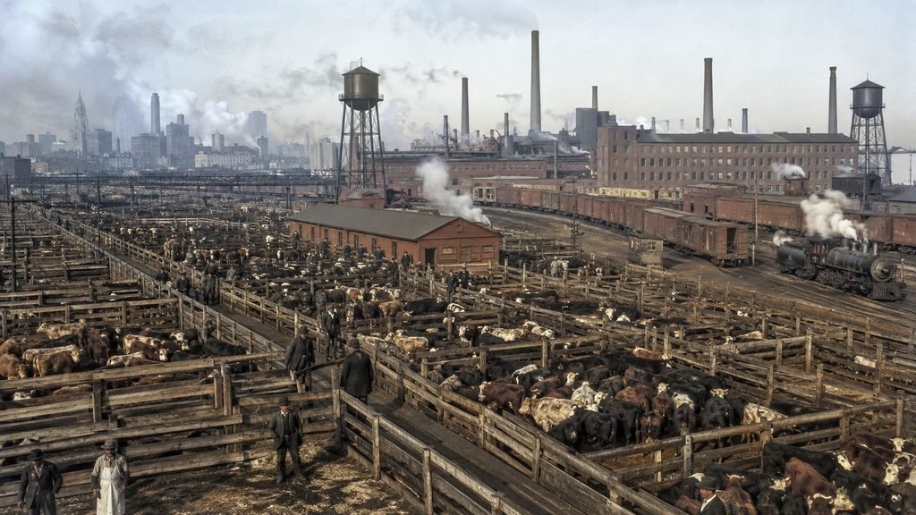 Historic cattle yard in industrial Chicago