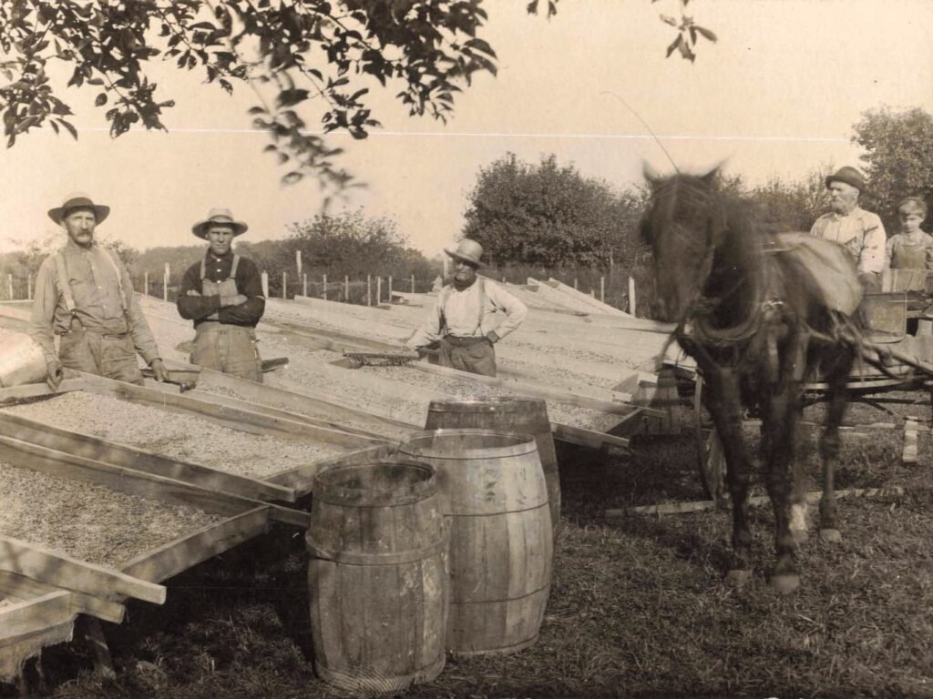 Joseph Leece Farm, Fitchburg, Mich