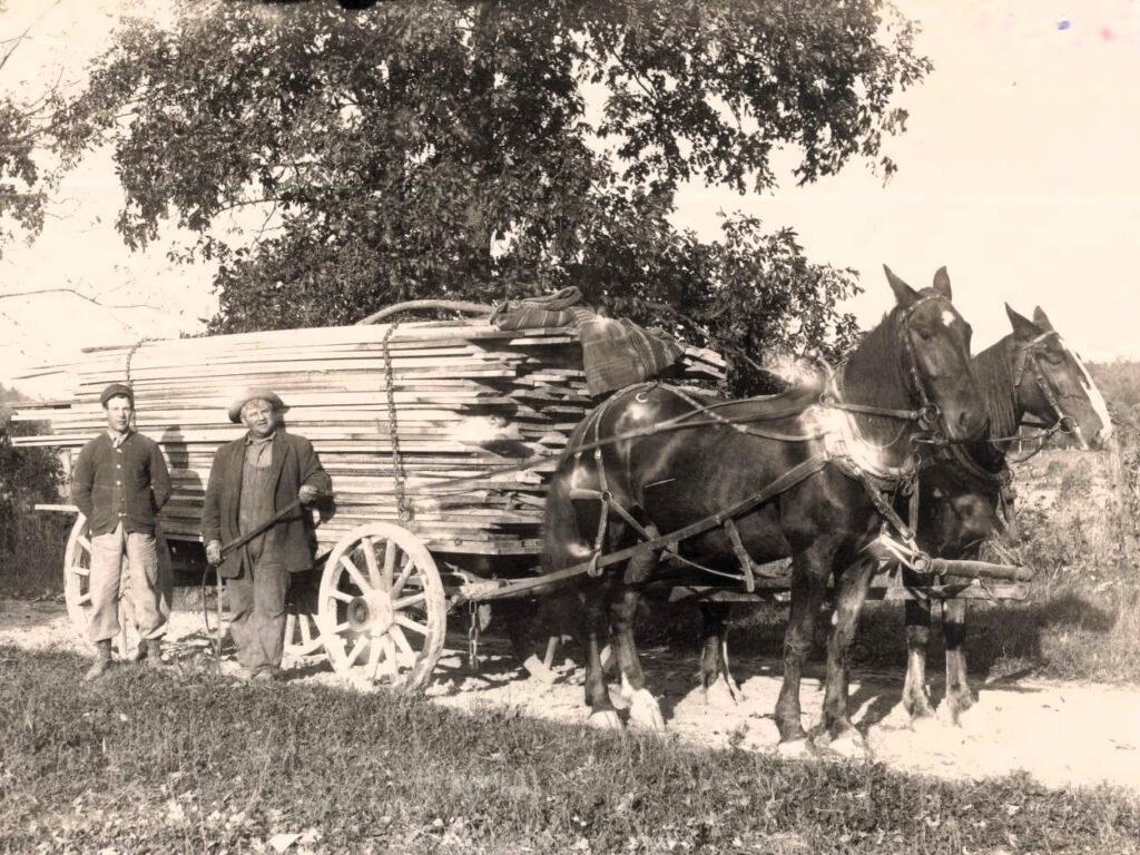 Joseph Leece Farm c. 1907, Fitchburg, Mi