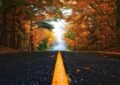 Fall in Michigan's Thumb