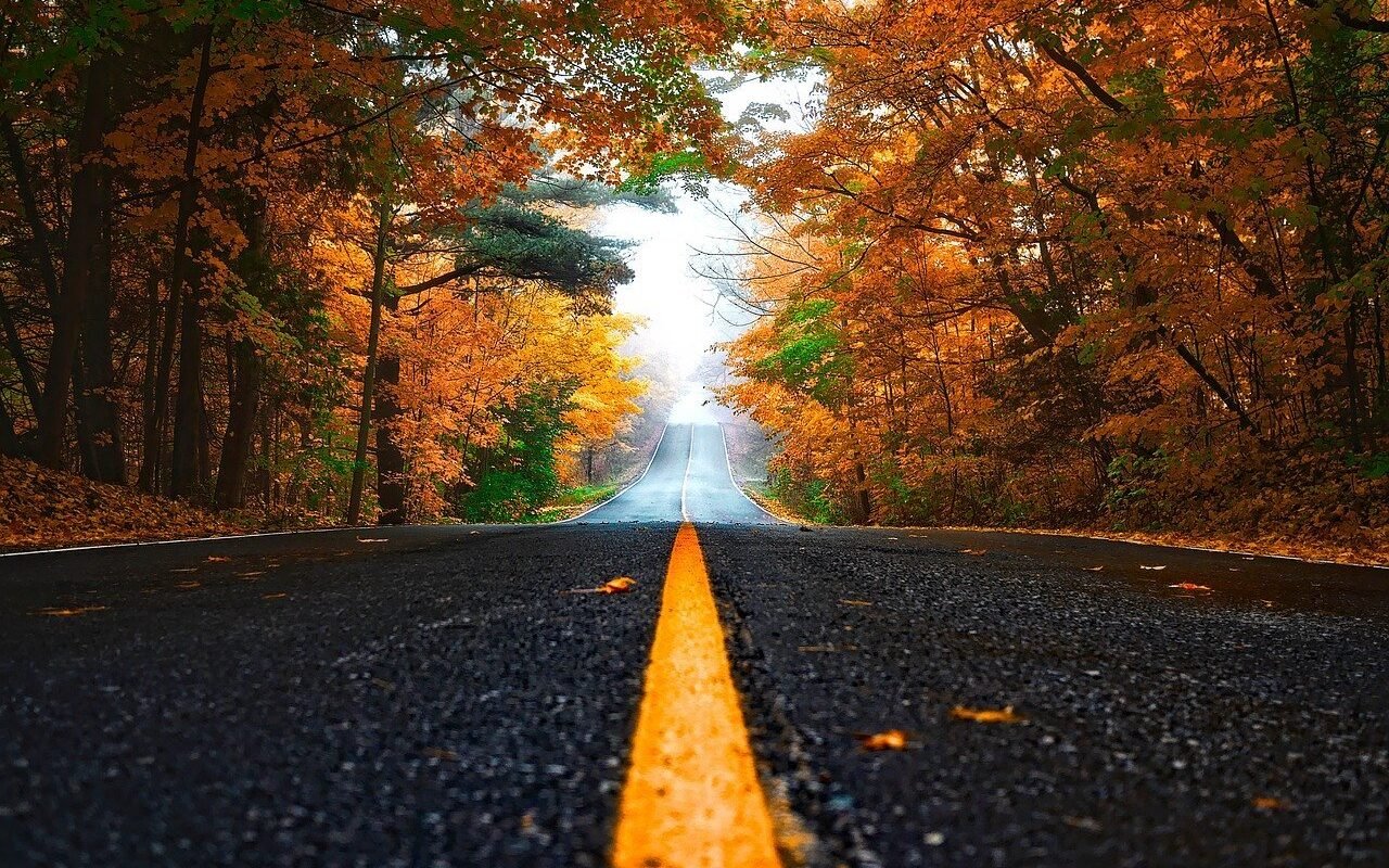 Fall in Michigan's Thumb