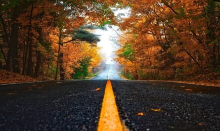 Fall in Michigan's Thumb