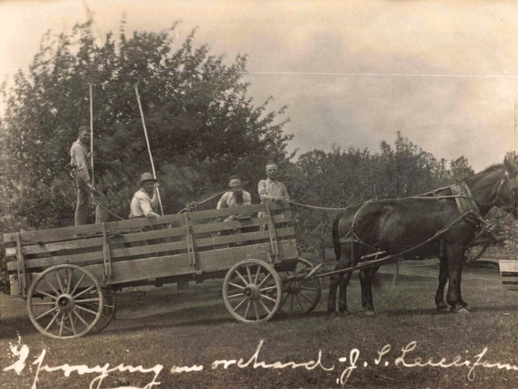Spraying an orchard - J. S. Leece farm
