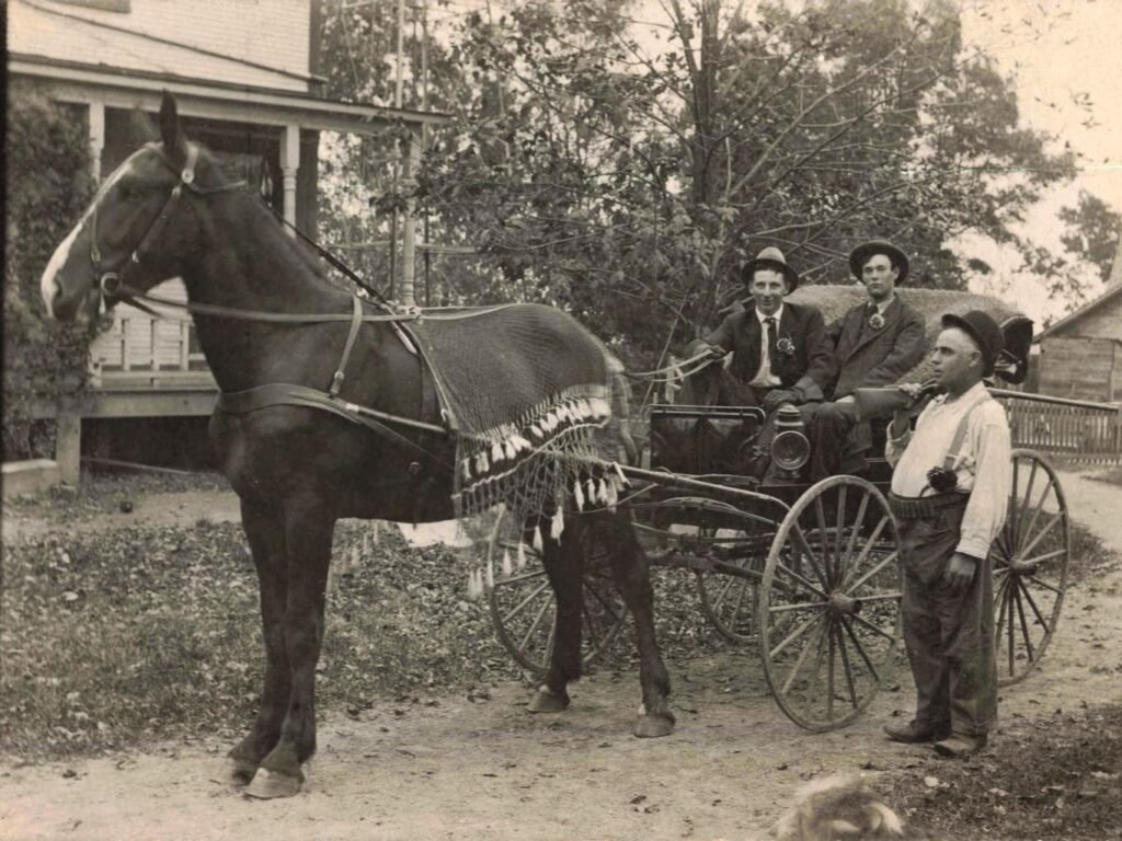 Floral pieces, formal clothing, and a decorated horse mark a wedding day