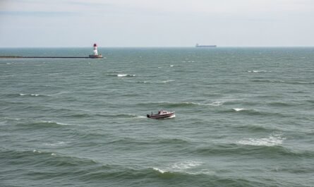 Best Live Lake Erie Webcams: Detroit & SE Michigan Views