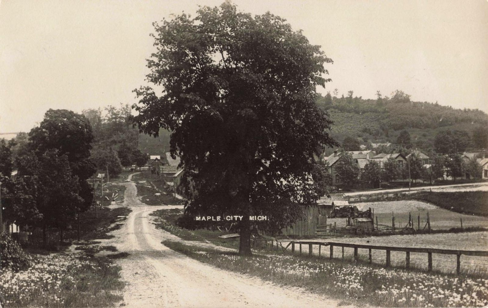 Coming into Maple City
