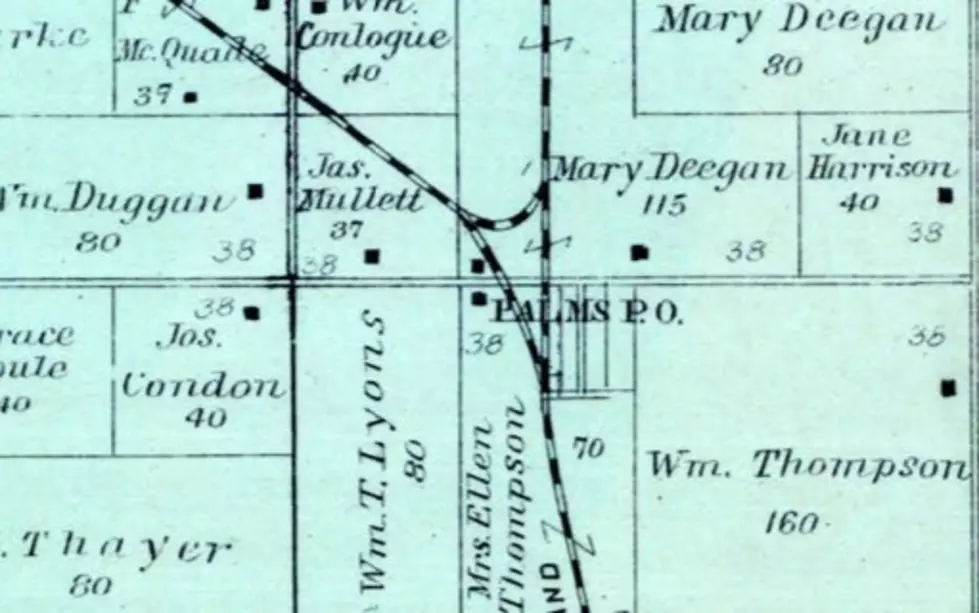 Historical map with names and locations - History of Palms Michigan