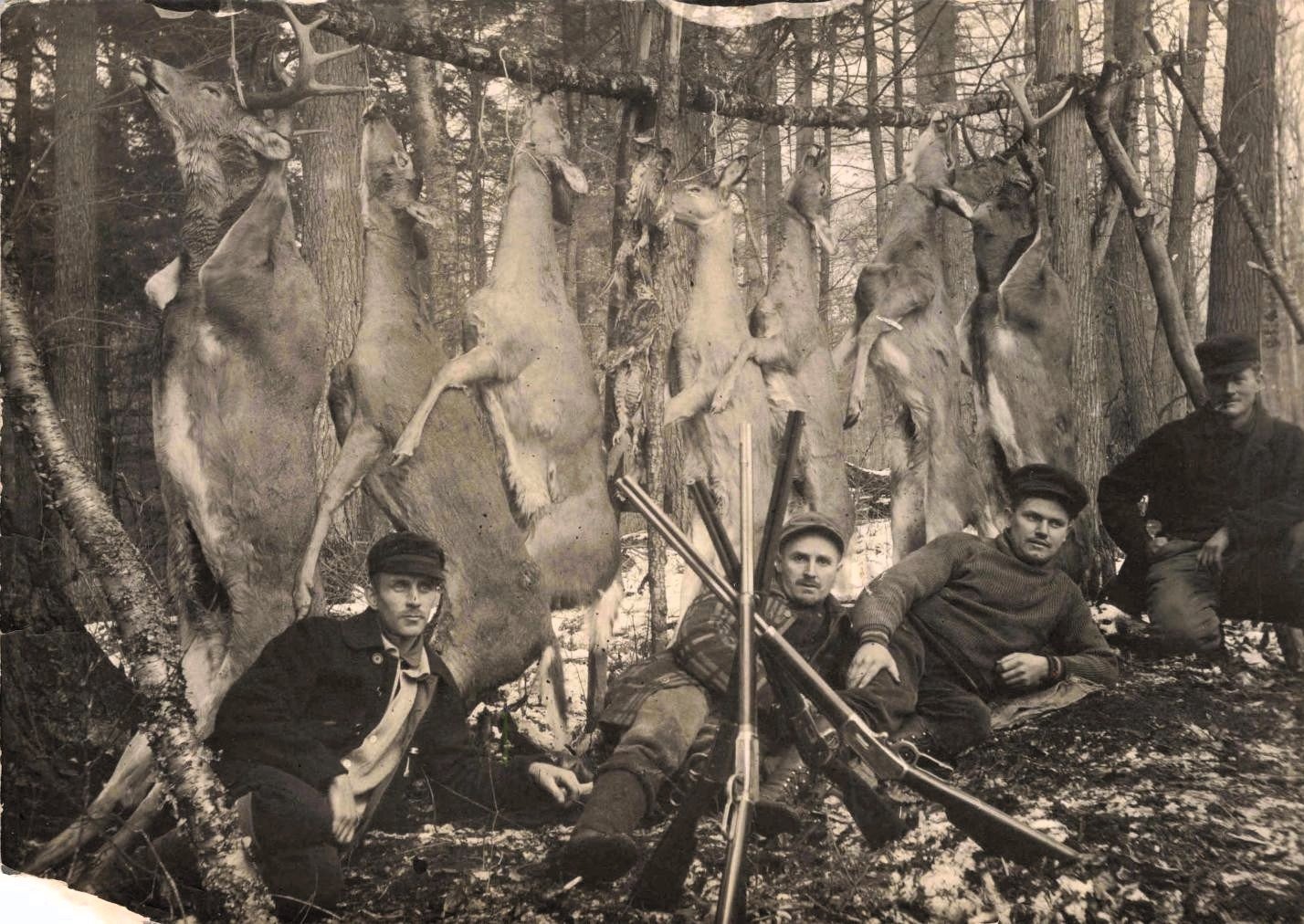 Hunters with deer trophies in forest