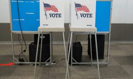 Michigan Early Voting