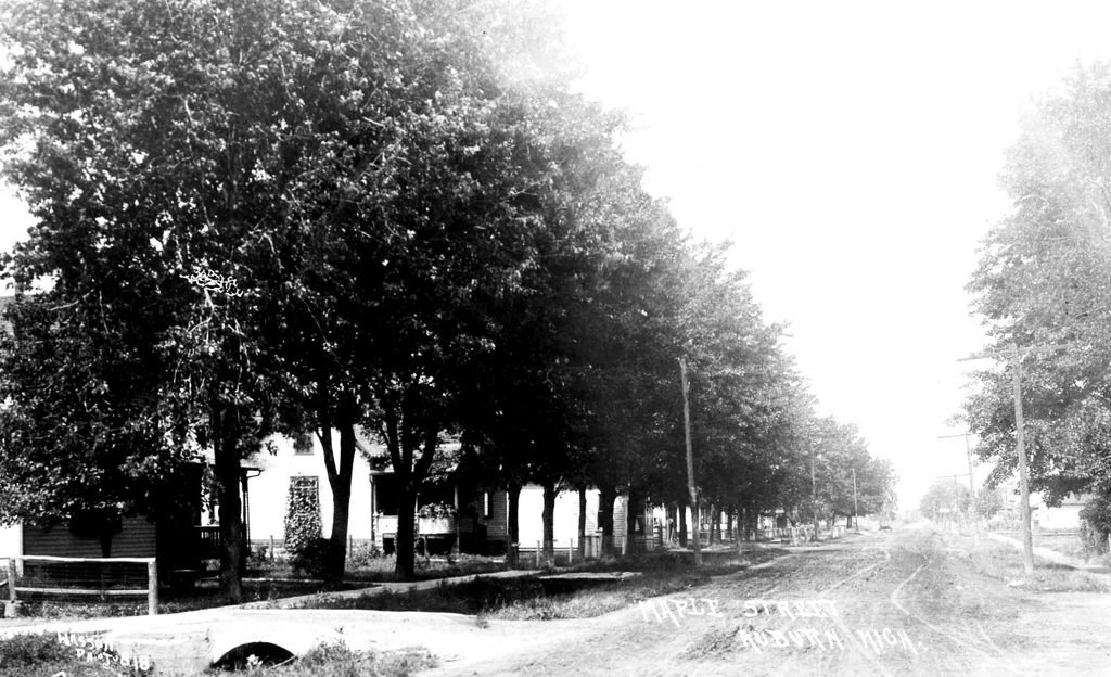 Historic street lined with trees