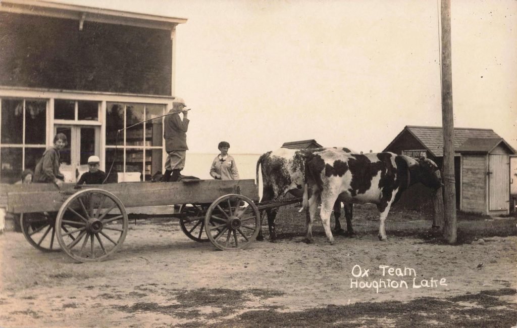 An Ox Cart takes young folks into town for supplies on a hot summer day.