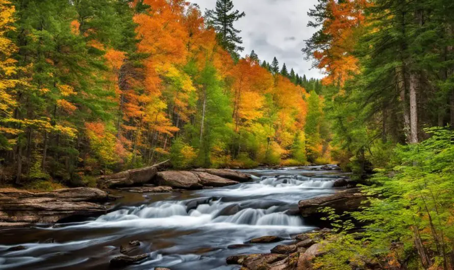 Hiawatha National Forest Hiking Guide: Discover 5 Must-See Trails